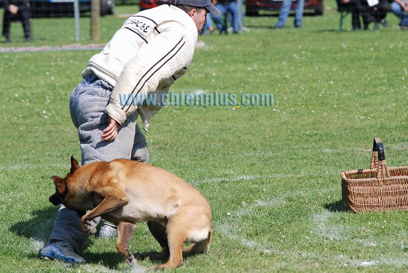 SELECTIF BEAUVAIS 2009 208.jpg